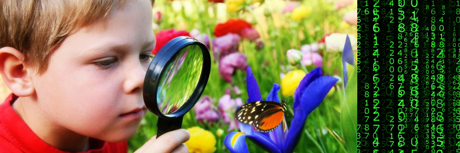 Discovery