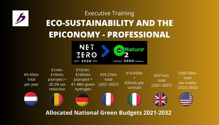 Eco-sustainability and the Green Economy - Immersion