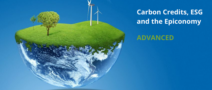 Carbon Credits, ESG and the Epiconomy